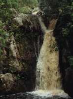 waterfall in Harold Porter Gardens