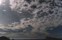 alto stratus spectacle