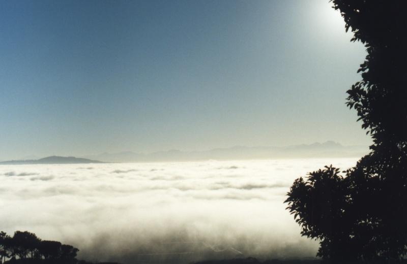 fog bank over Northern Suburbs from Rhodes Memorial