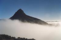 fog surrounding Lion's Head
