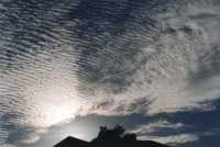 altocumulus ripples backlit at dawn