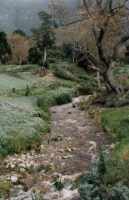 upper Liesbeeck river