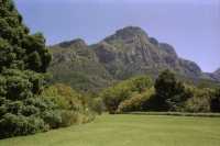Kirstenbosch lawn and Table Mountain