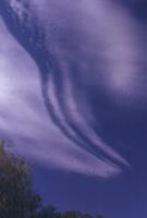 banded cirrus