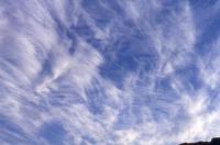 cirrus fluffy