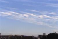 altocumulus rolls
