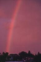 pink rainbow at sunset
