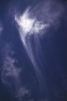 cirrus with virga
