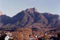 Devil's Peak from Rondebosch