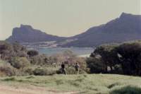 Hout Bay and the Sentinel