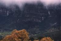 waterfall bonanza above Newlands Forest on Table Mountain