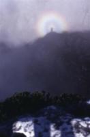 solar halo (glory) from Table Mountain