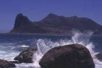 Sentinel from Hout Bay