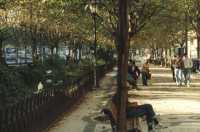 boulevard in Lisbon Centre