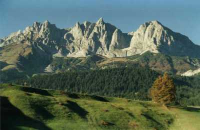 forest up dolomite peaks
