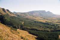 Constantiaberg, Tokai Forest, and Table Mountain from Steenberg Ridge