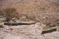 burned areas and erosion control above Boyes Drive