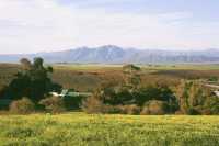 Riebeeck-Kasteel Valley and mountains from canola-field