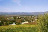 Riebeeck-Kasteel from hillside canola-field