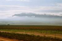 Kasteelberg storm clouds from Swartland vineyards