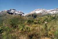 Jonkershoek valley with snowy peaks