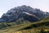 Jonkershoek valley fynbos with snowy peak