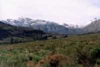 Franshoek valley with snowy peaks