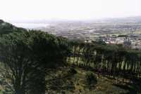 Table Bay with ship aground and trees from Rhodes Memorial