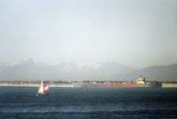 ship aground in Table Bay with snowy peaks