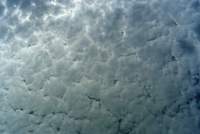 altocumulus layer pattern