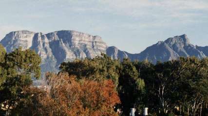 autumn trees in front of Table Mountain