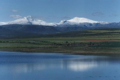 snow peaks and reflection in farm dam near Ceres