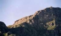 close-up of Fernwood Buttress from Kirstenbosch