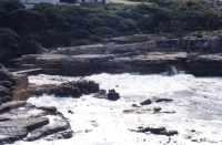 wave cut cliffs and sea off Hermanus