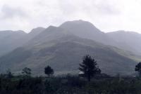 Fynbos on hillside behind Kleinmond
