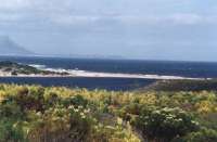 Palmiet River mouth with Spring flowers