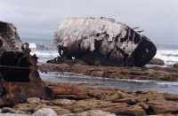 wreck of the Tomas T. Tucker (c1940)