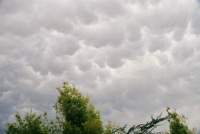 Mammatus cloud base