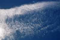 Cirrocumulus pattern backlit