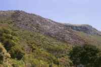 Small burned area above Kalk Bay