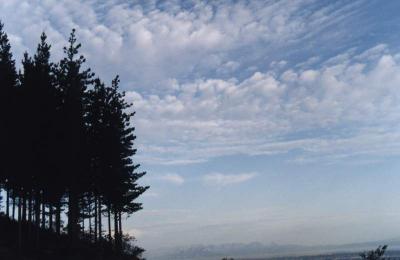 altocumulus from Cecilia Forest