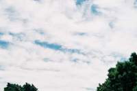 cirrus over trees