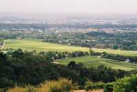 Constantia vineyards from Vlakkenberg