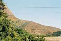 burned lower slopes of Devil's Peak from Rosebank