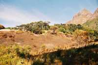 burned area around Rhodes Memorial with Devil's Peak