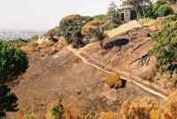 burned area around Rhodes Memorial