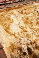 West Coast fossil beds excavation