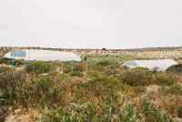 West Coast fossil park site