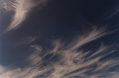 wispy cirrus "mare's tails" in blue sky