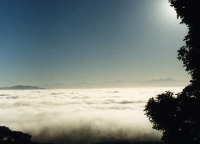 fog bank over Northern Suburbs from Rhodes Memorial